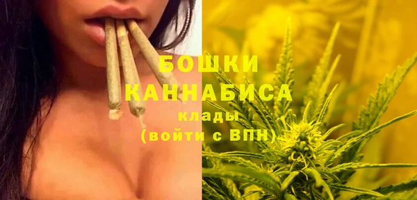 гидра Балабаново